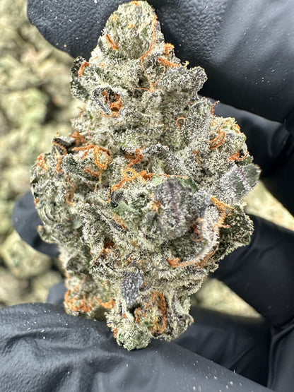 Bruce Banner THCA Flower (Premium)