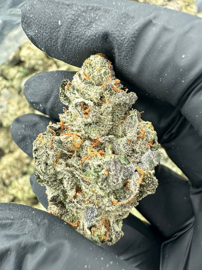 Bruce Banner THCA Flower (Premium)