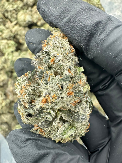 Bruce Banner THCA Flower (Premium)