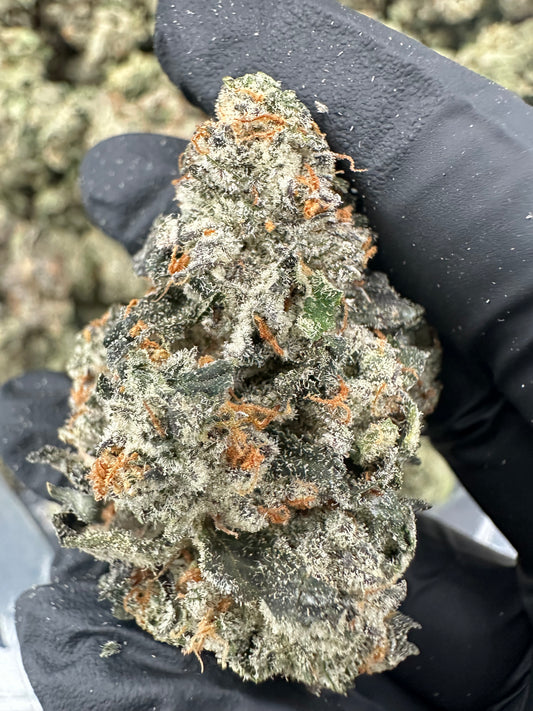 Bruce Banner THCA Flower (Premium)