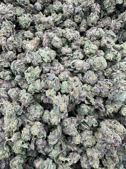 Gush Mintz THCA Flower (Budget)