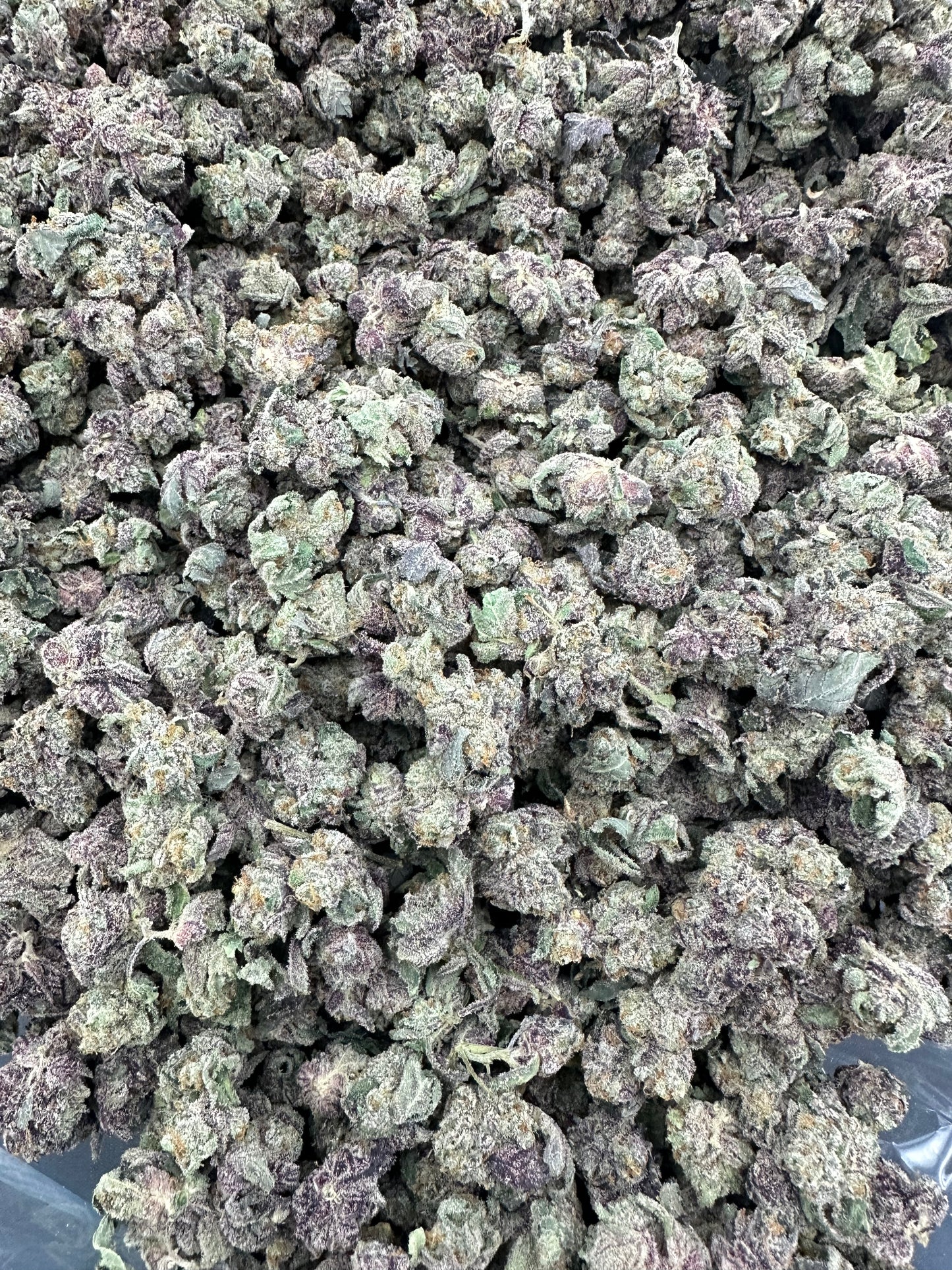Gush Mintz THCA Flower (Budget)