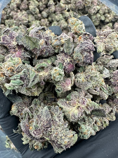 Gush Mintz THCA Flower (Budget)