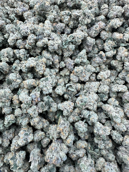 Georgia Pie THCA Flower (Budget)