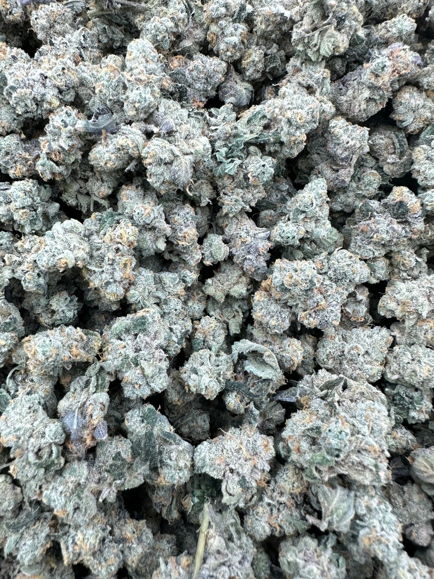 Georgia Pie THCA Flower (Budget)
