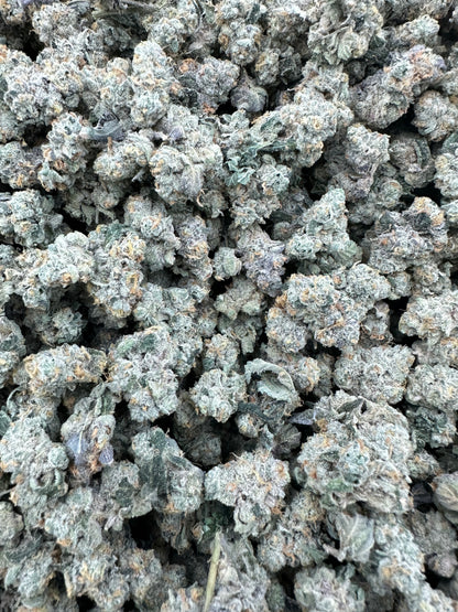Georgia Pie THCA Flower (Budget)