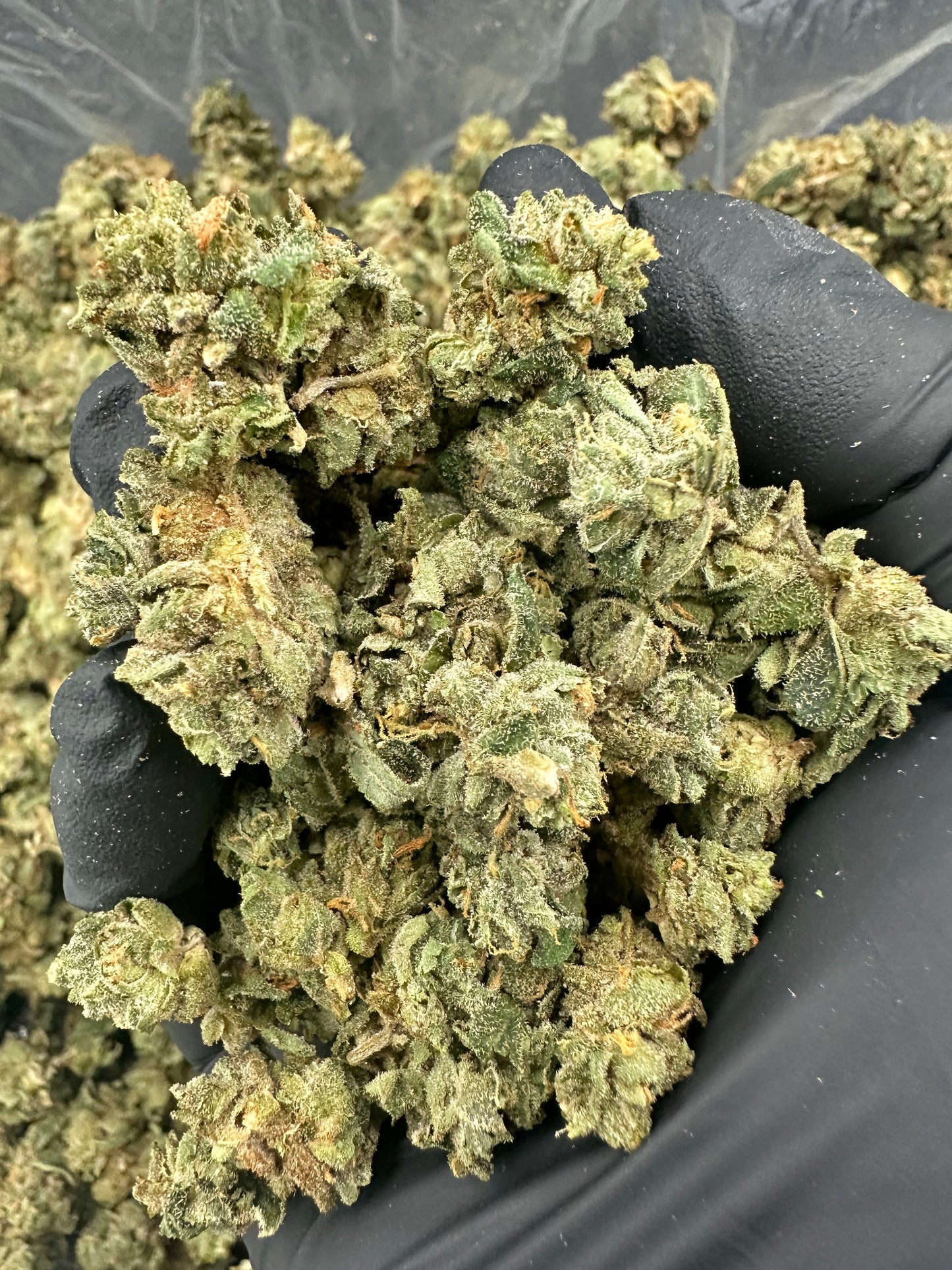 Durban Poison THCA Flower (Budget)