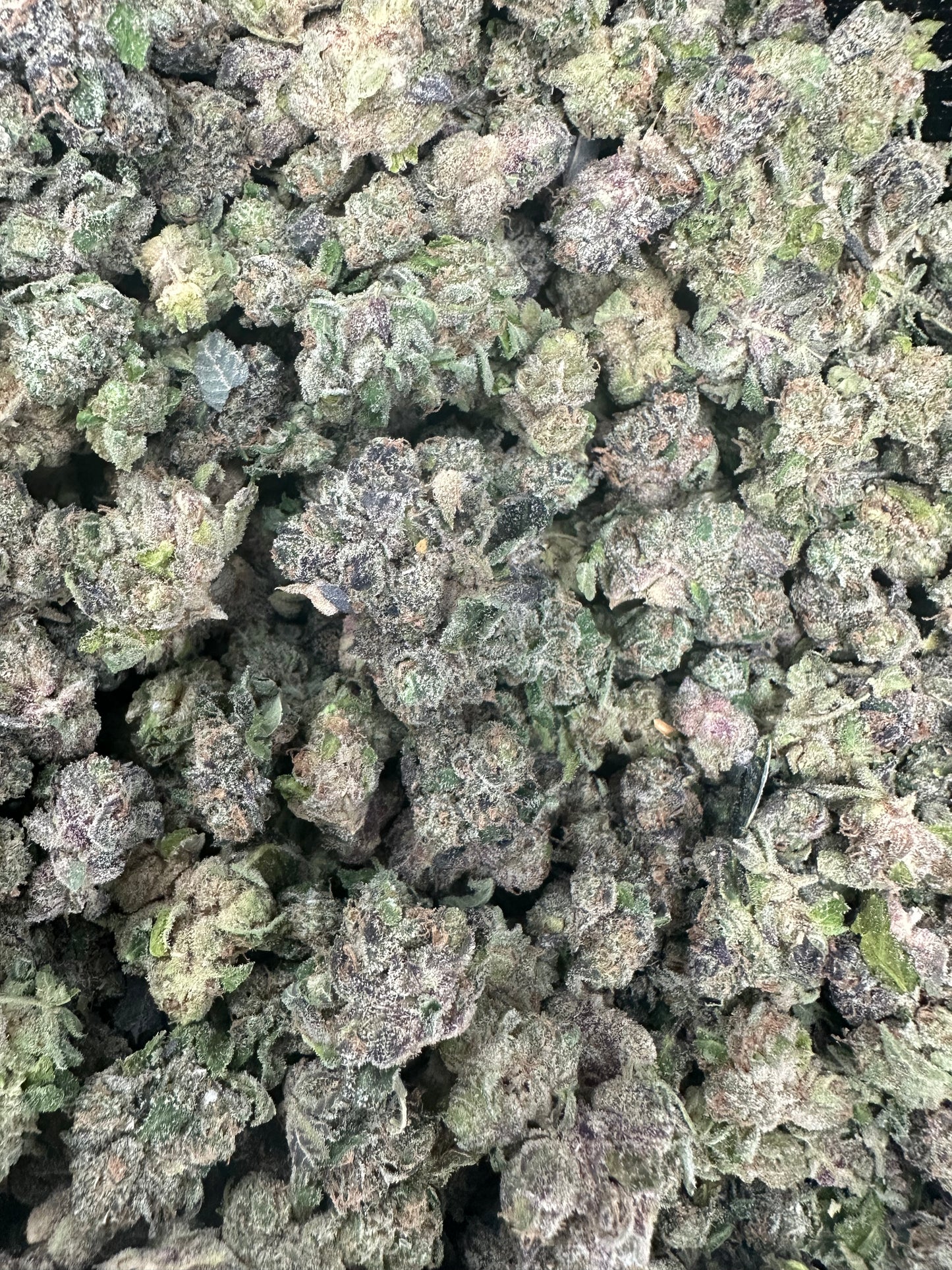 Purple Punch THCA Flower (Budget)