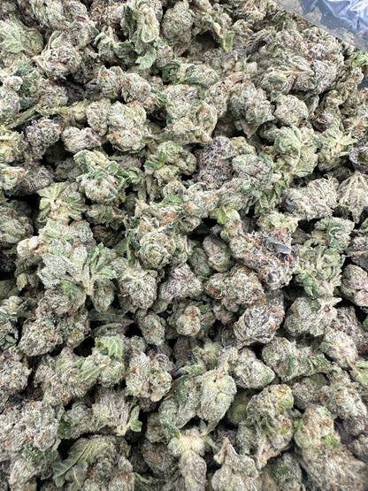 Blue Dream THCA Flower (Budget)