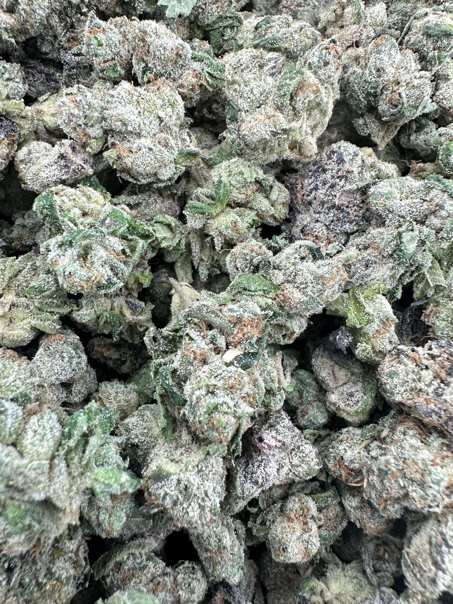 Blue Dream THCA Flower (Budget)