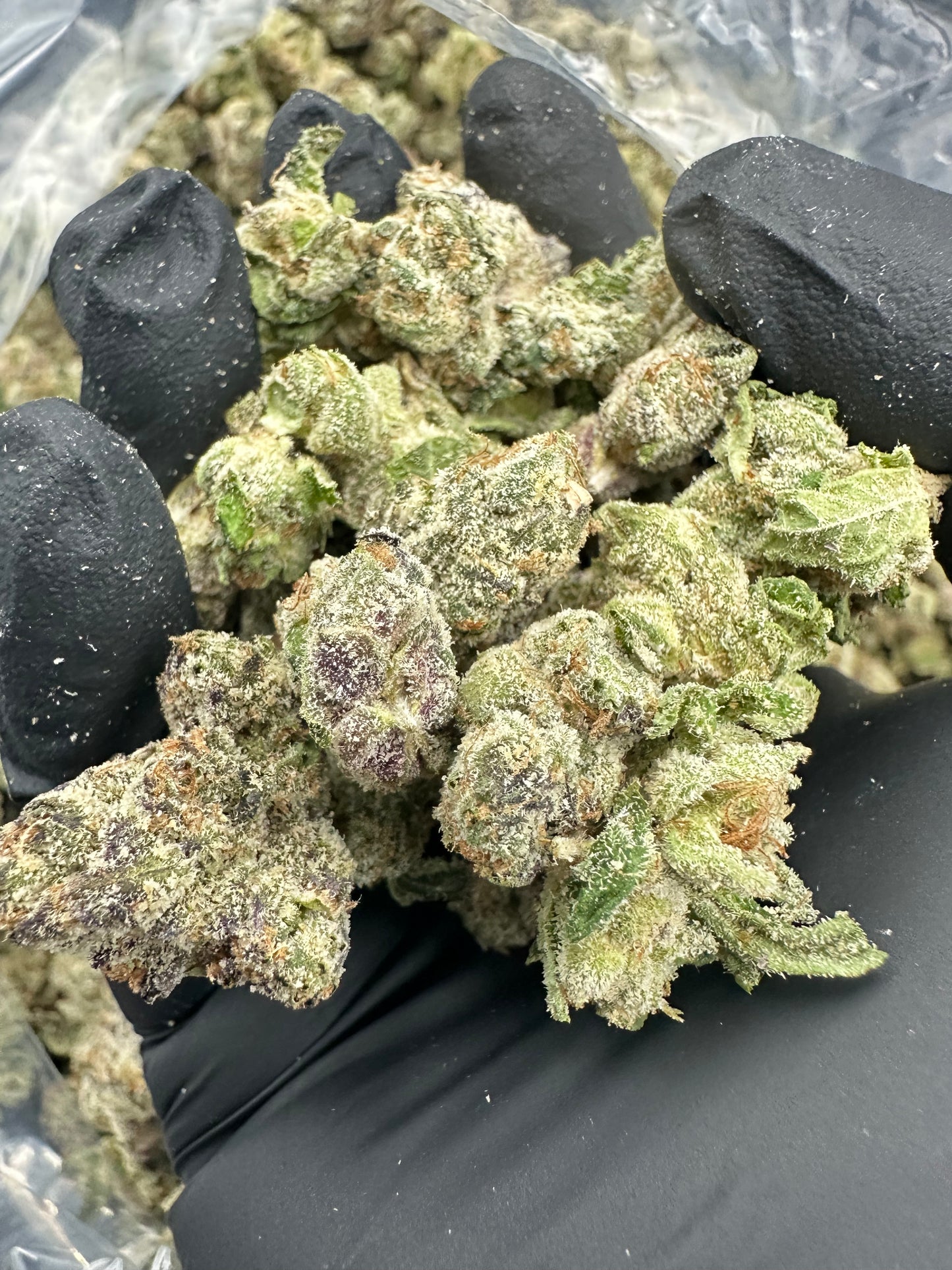 Blue Dream THCA Flower (Budget)