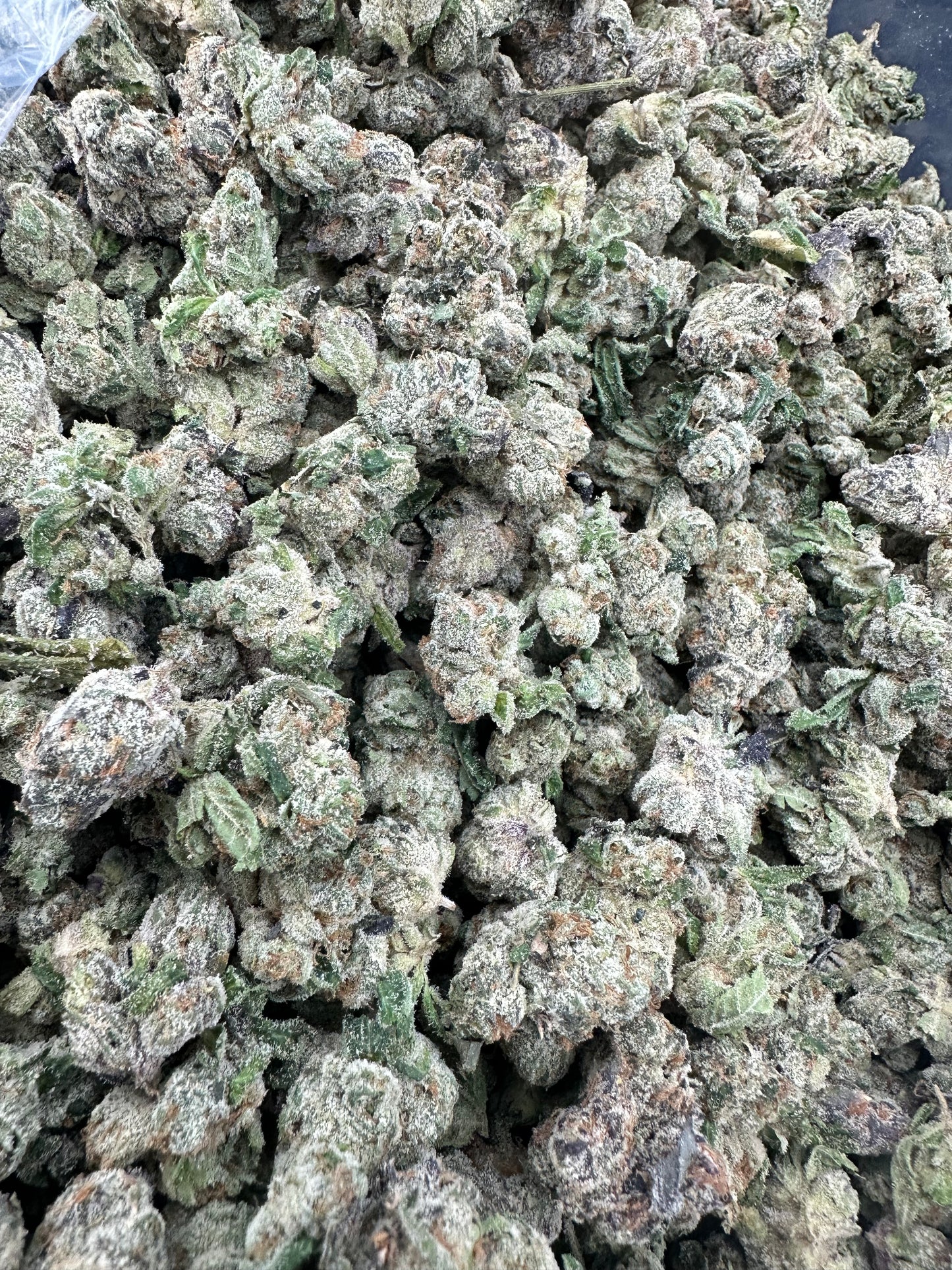 Blue Dream THCA Flower (Budget)