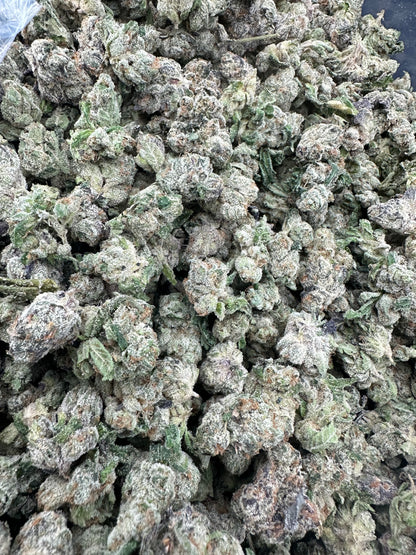 Blue Dream THCA Flower (Budget)