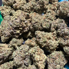 Runtz OG THCA Flower