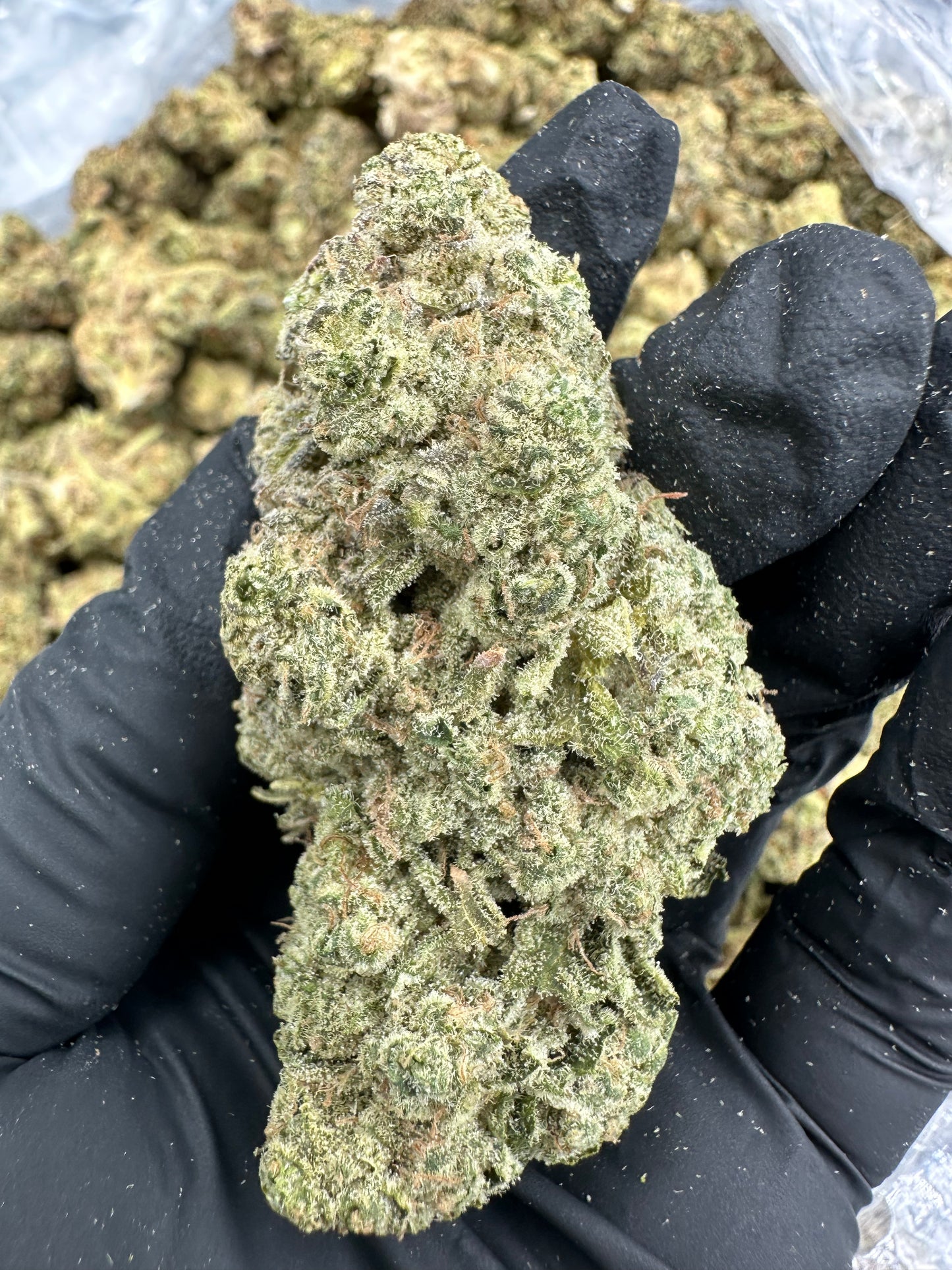 Jealousy THCA Flower