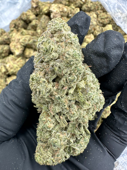 Jealousy THCA Flower