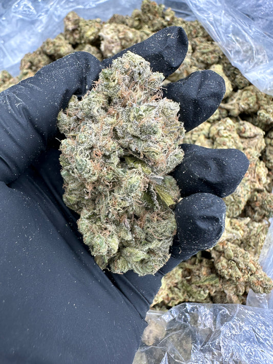 Jealousy THCA Flower (Exotic)