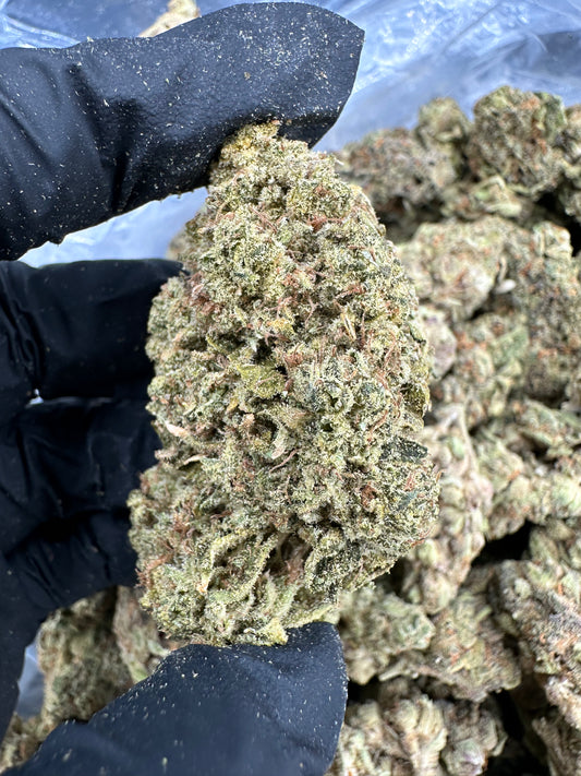 Godfather OG THCA Flower