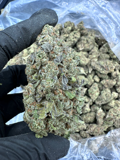 Apple Fritter THCA Flower