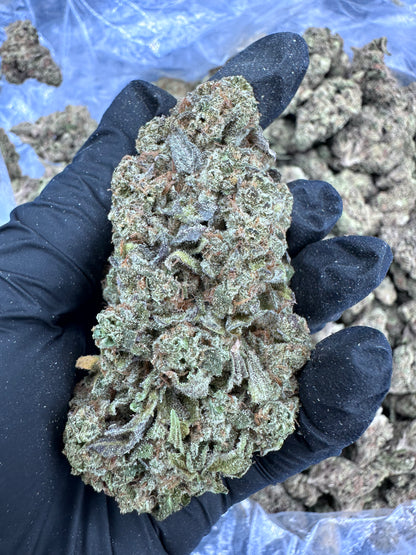 Apple Fritter THCA Flower