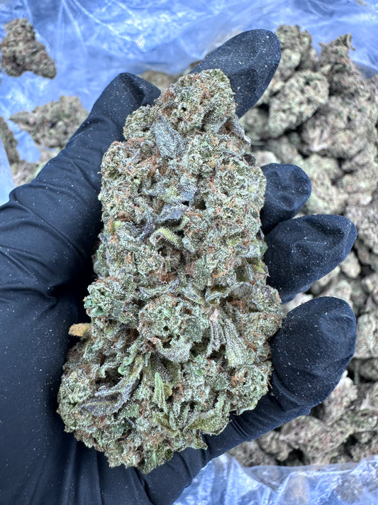 Apple Fritter THCA Flower