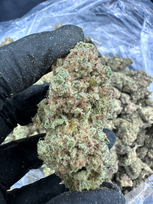 Sunset Sherbet THCA Flower (Premium)