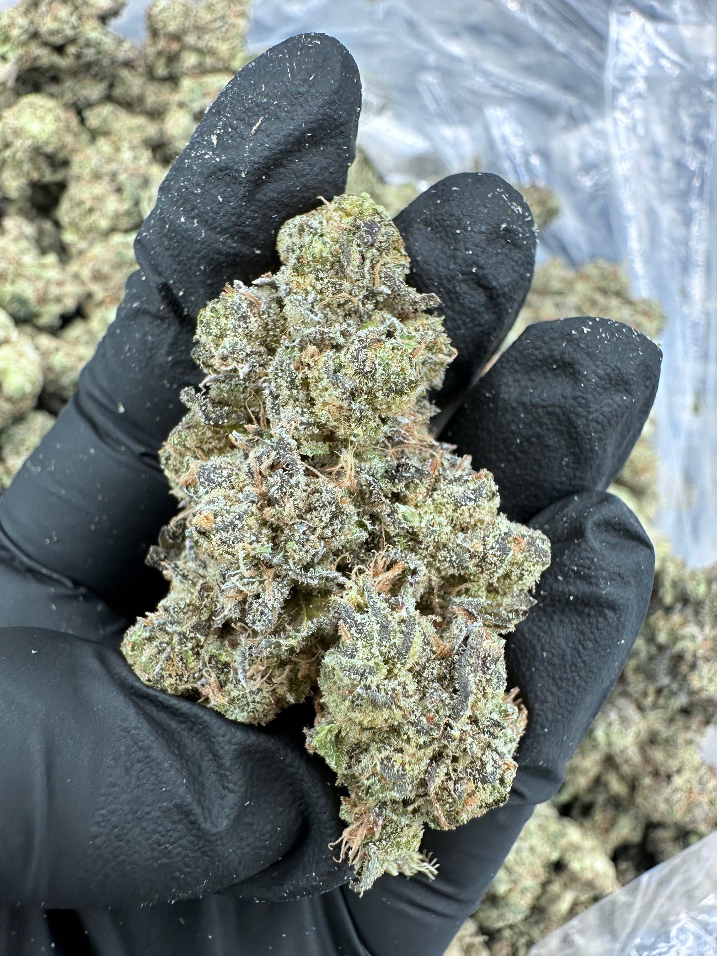 Banana OG THCA Flower