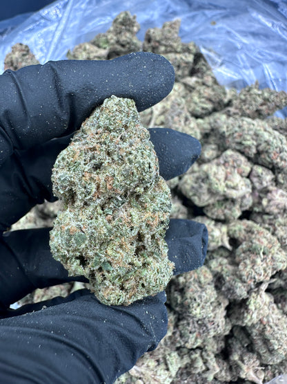 Girl Scout Cookies THCA Flower