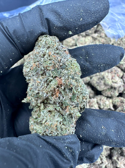 Girl Scout Cookies THCA Flower