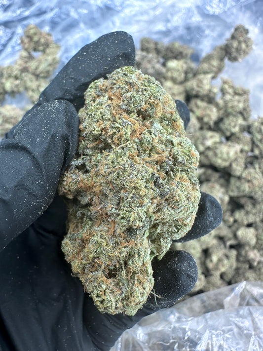 Biscotti THCA Flower (Premium)