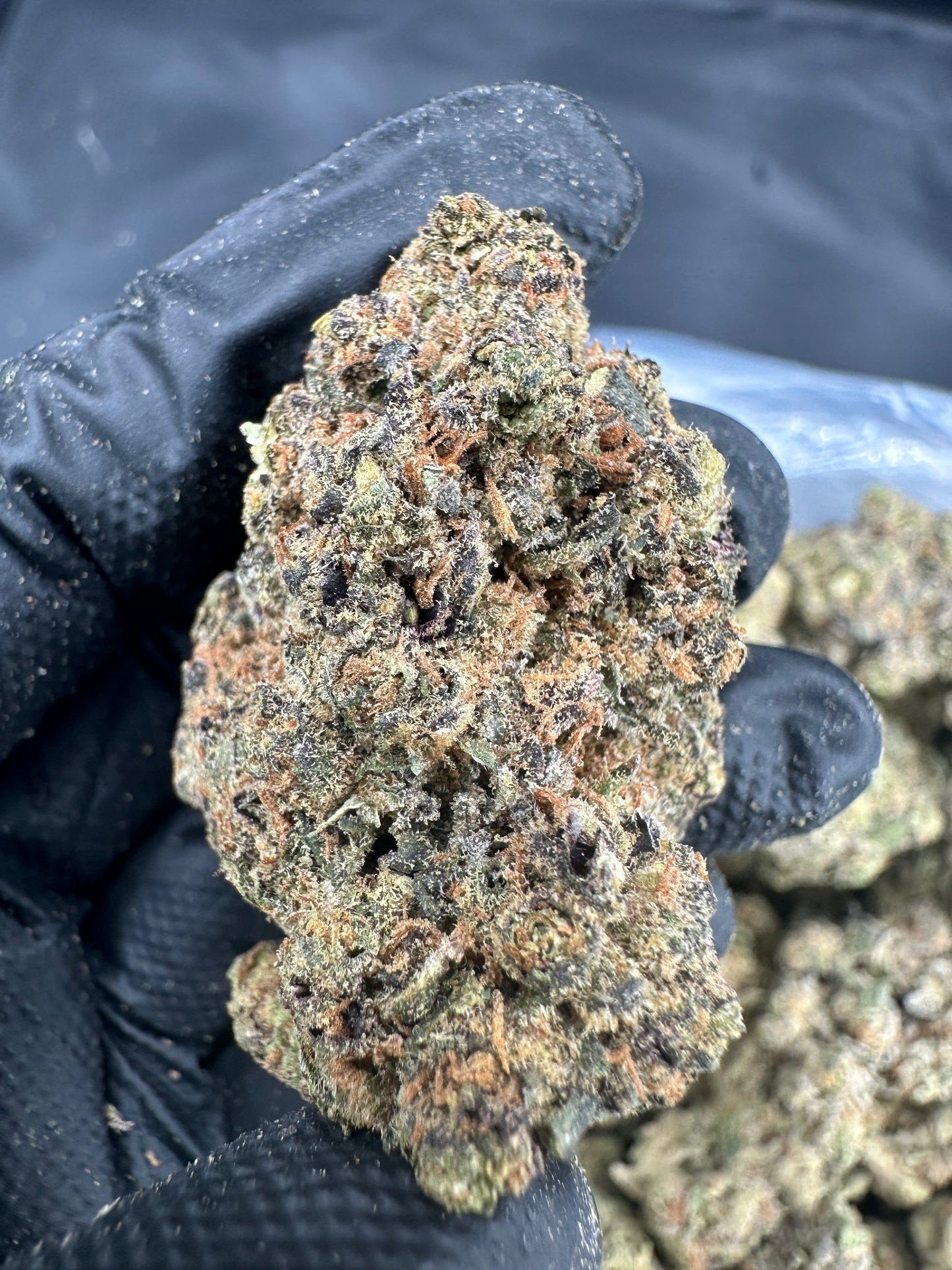 Ice Cream Cake THCA Flower