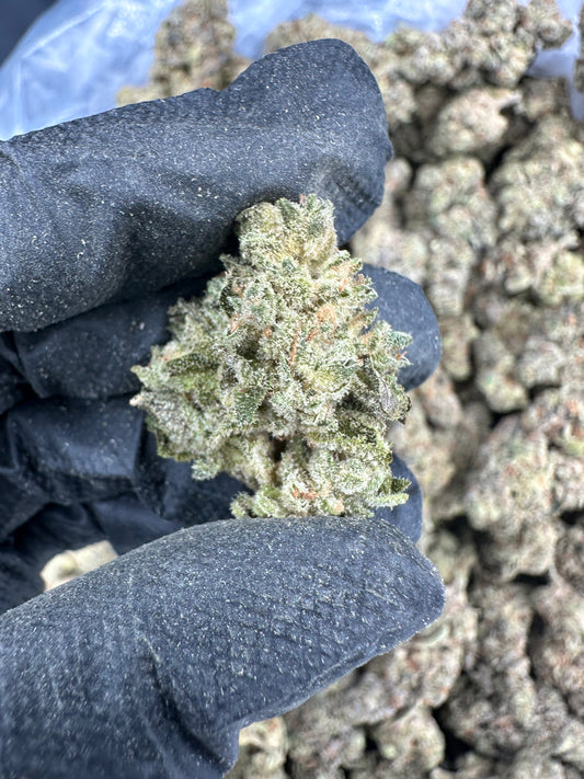 Lava Cake THCA Flower