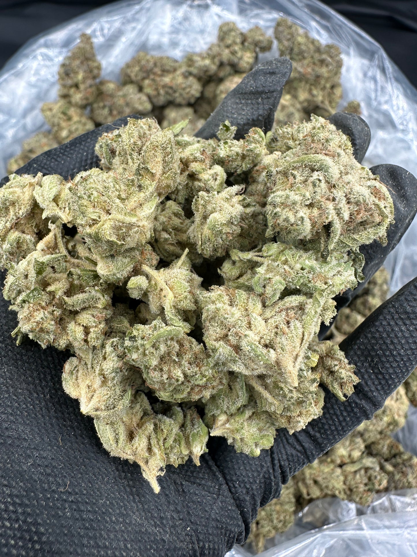 Lemon Haze THCA Flower