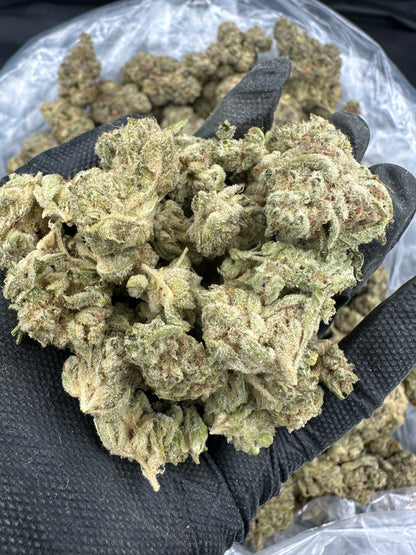 Lemon Haze THCA Flower