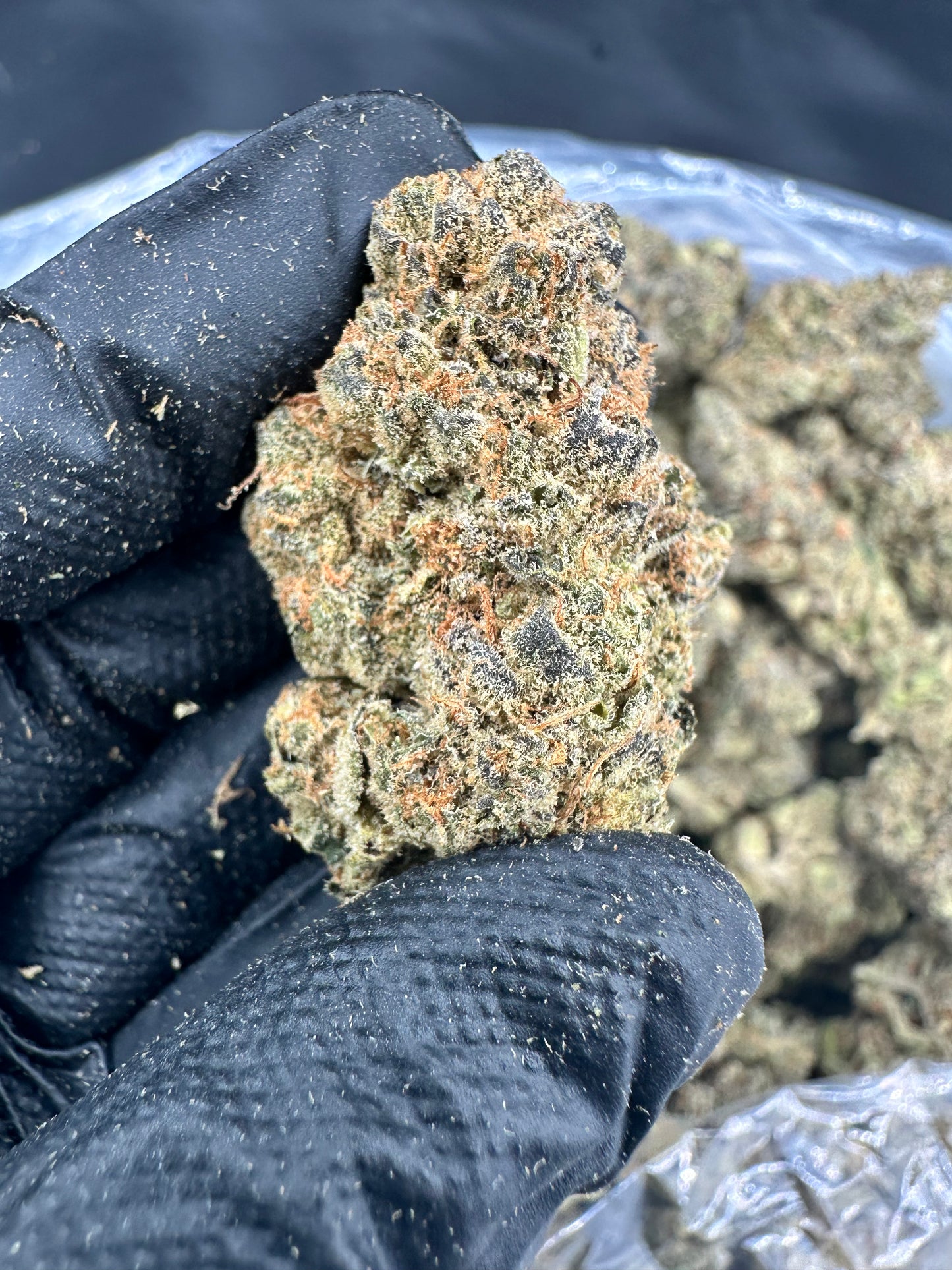 Miracle Alien Cookies (MAC) THCA Flower