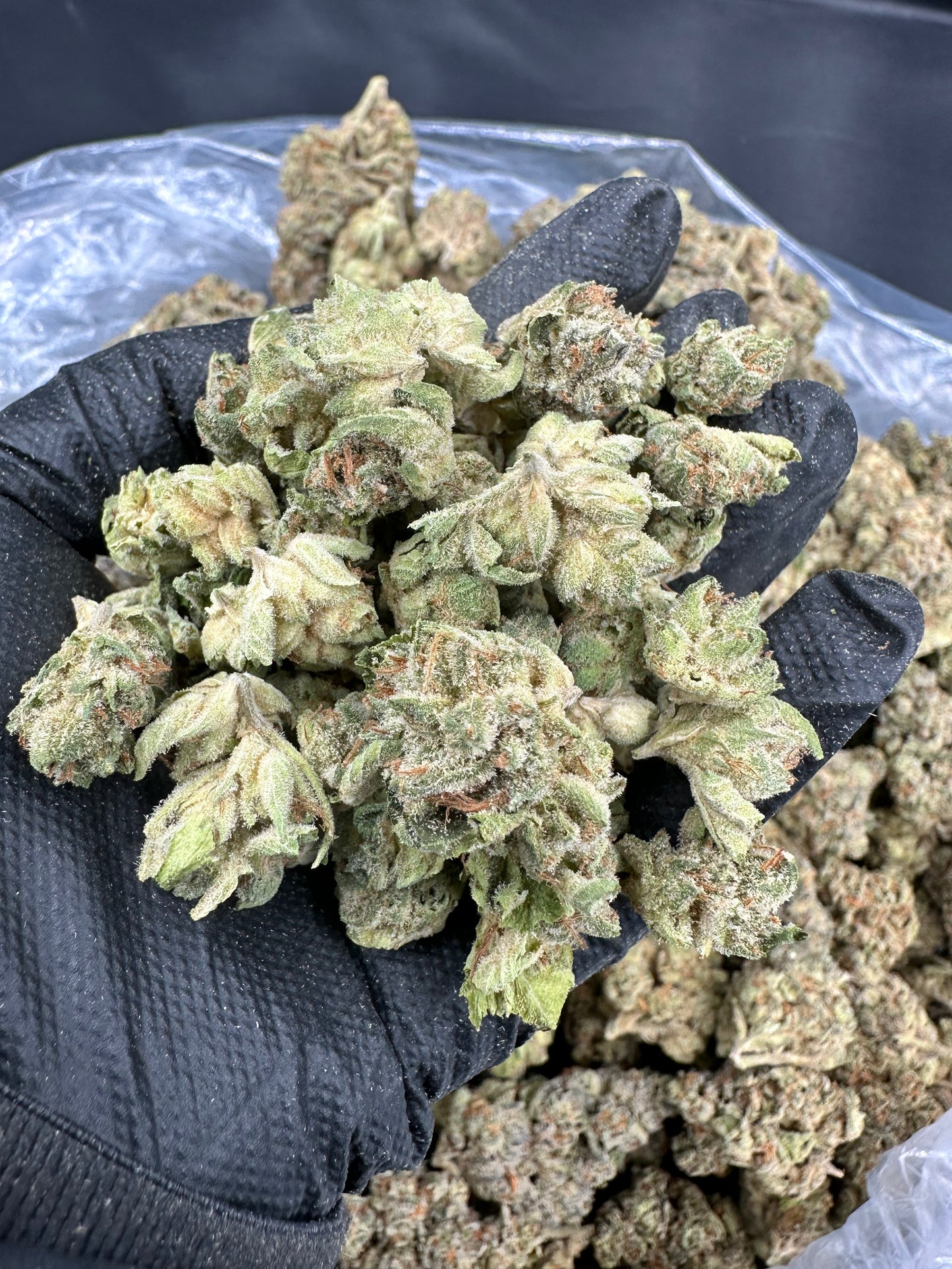 OG Kush THCA Flower