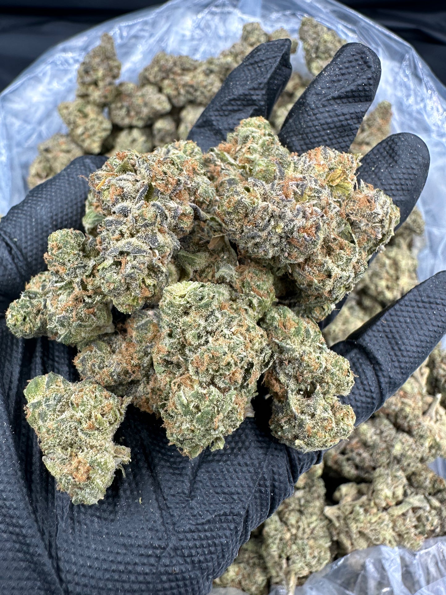 Pineapple Express THCA Flower