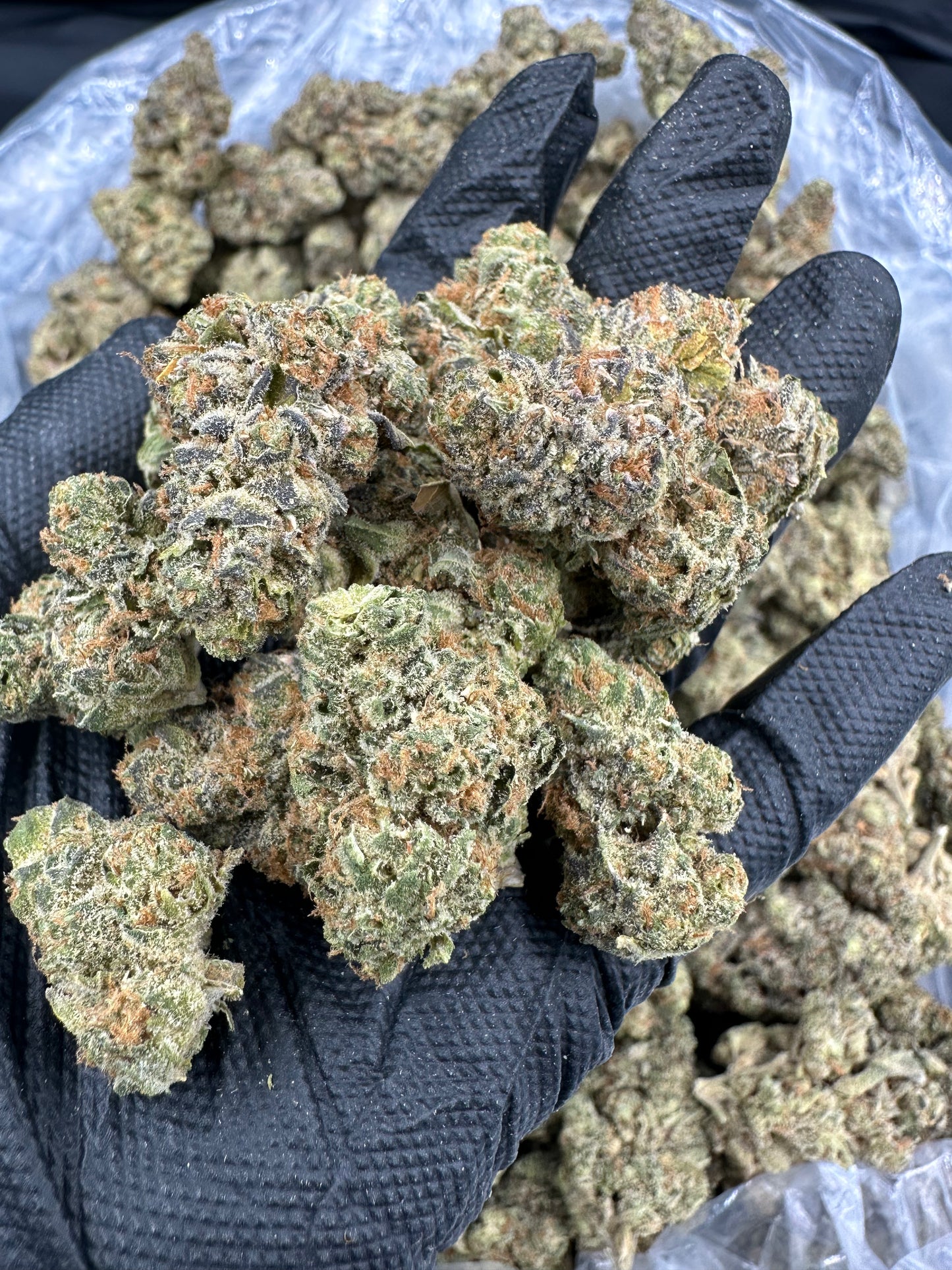 Pineapple Express THCA Flower