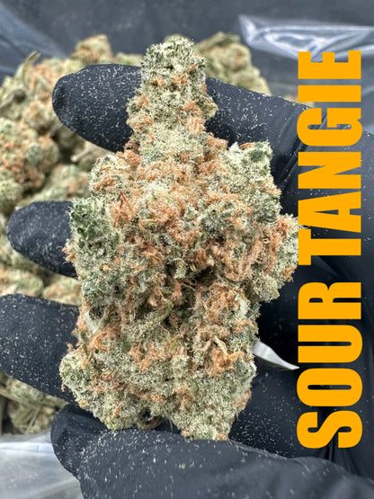 Take the Whole Bucket Variety Bundle THCA
