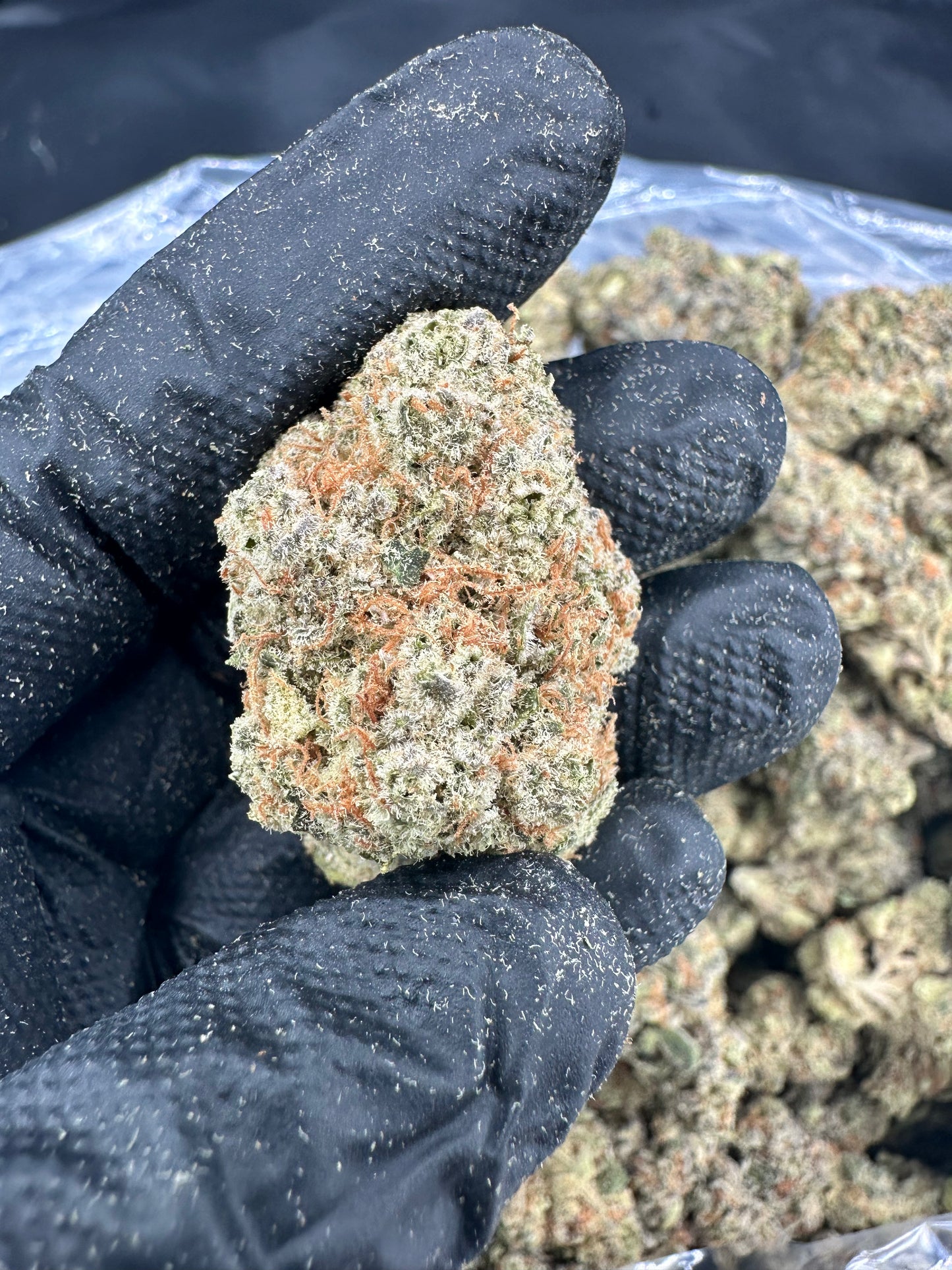 Triangle Kush Cake THCA Flower