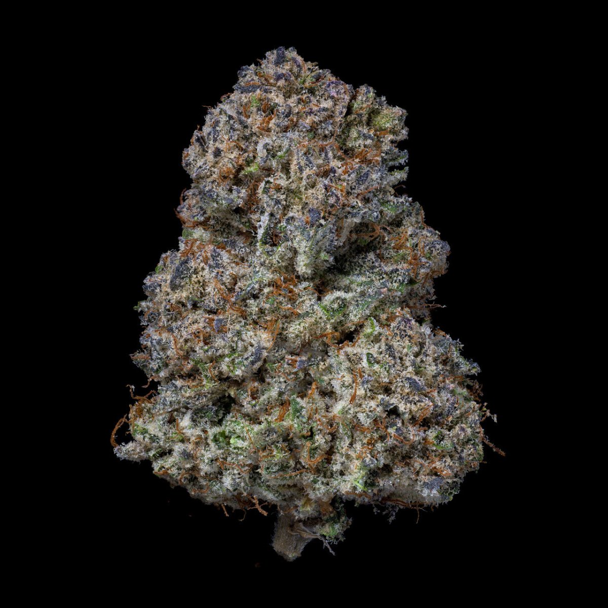 Biscotti THCA Flower - Premium Cultivars