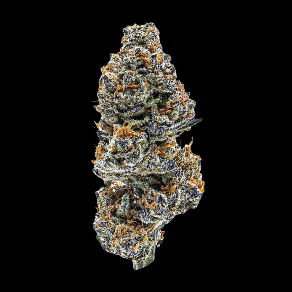 Black Mamba Seeds - Premium Cultivars