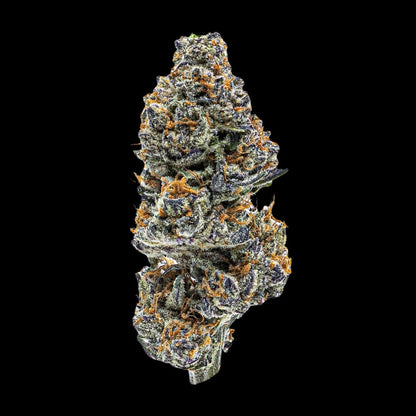 Black Mamba Seeds - Premium Cultivars