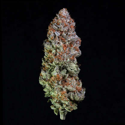 Blue Zushi Seeds - Premium Cultivars