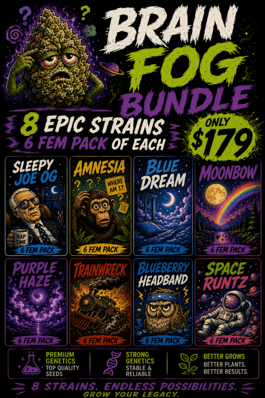 Brain Fog Bundle - 8 Strains x 6 Feminized Seeds Each