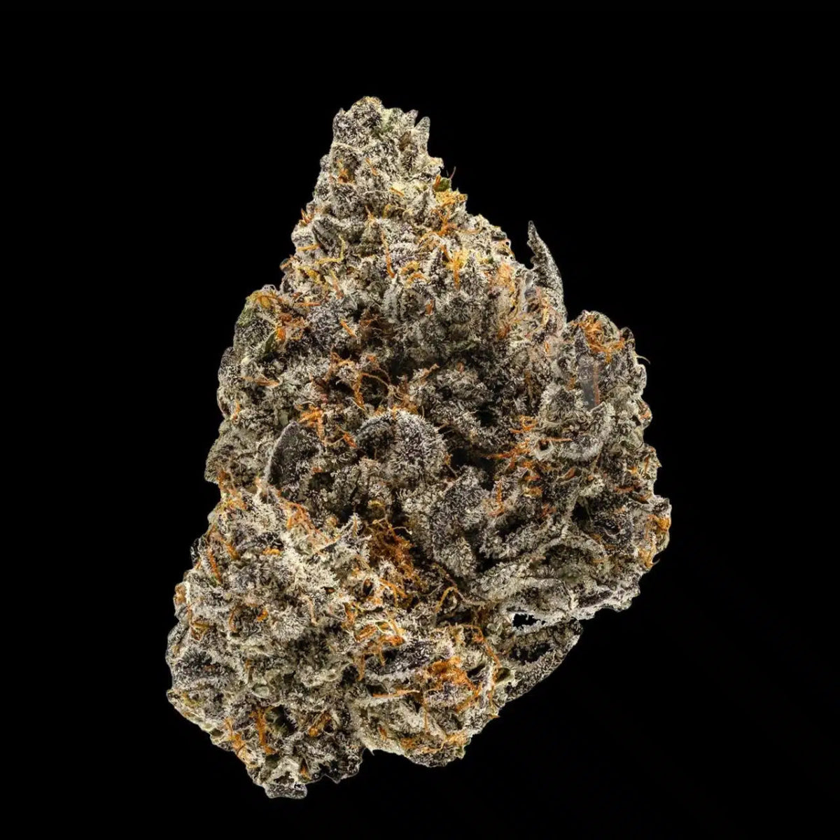 Bubblegum Popperz Seeds - Premium Cultivars