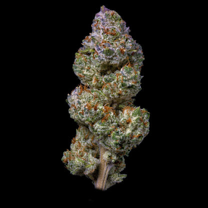 Cheetah Piss THCA Flower - Premium Cultivars