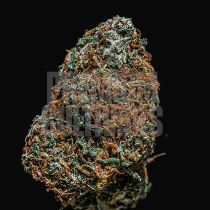 Cherry Runtz Harvest