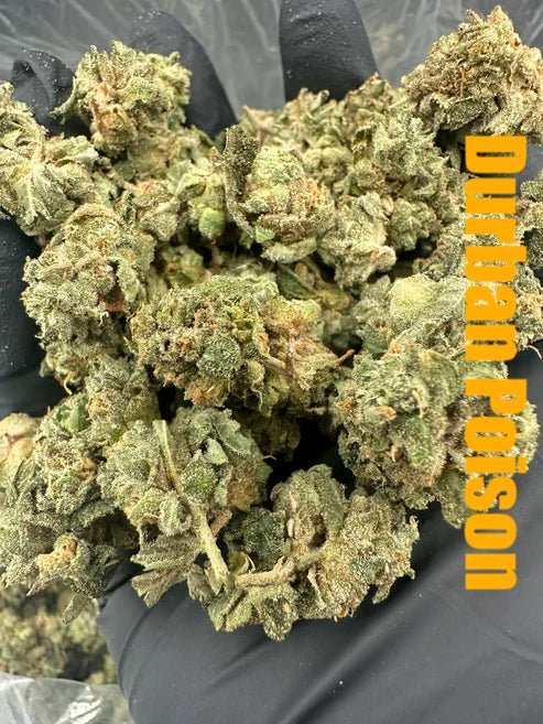 Durban Sandwich Bundle - 3 oz THCA (Budget)