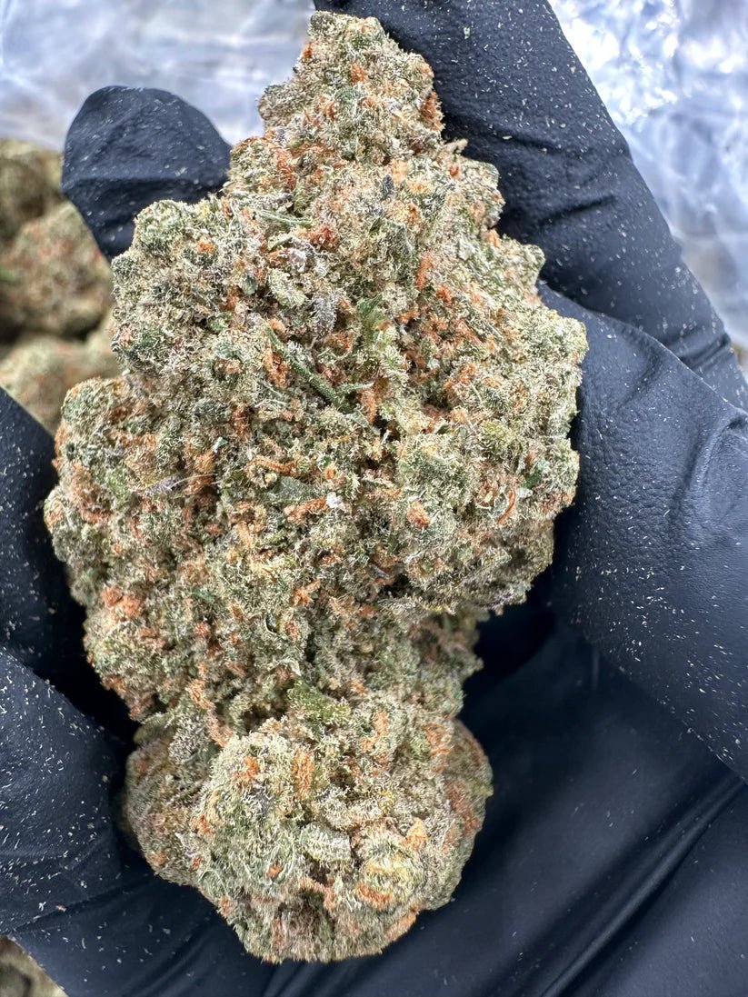 Exotic Bundle - 3 Half Ounces THCA Flower